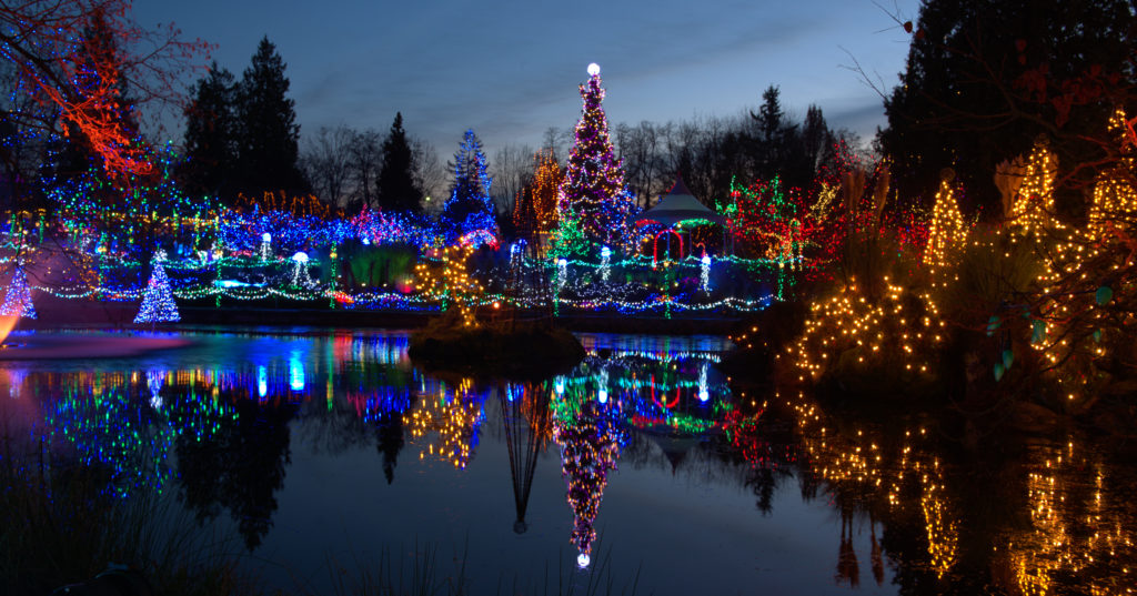 Christmas lights in myrtle beach over a pond